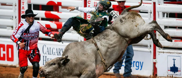 Calgary Stampede Rodeo