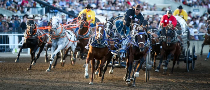 Chuckwagon Races