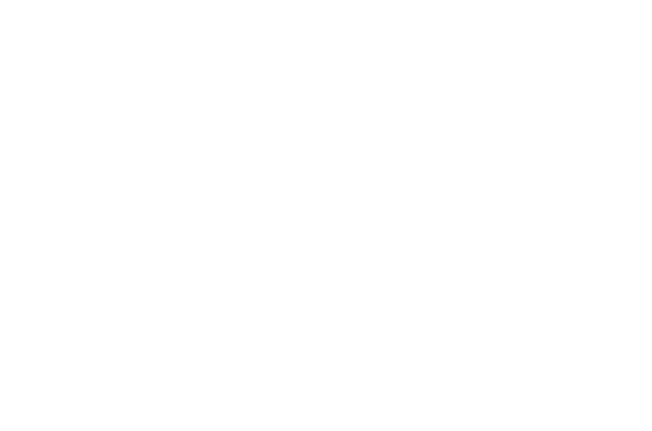 MAFSI 2024 Logo_MAFSI 2024 Conference logo white