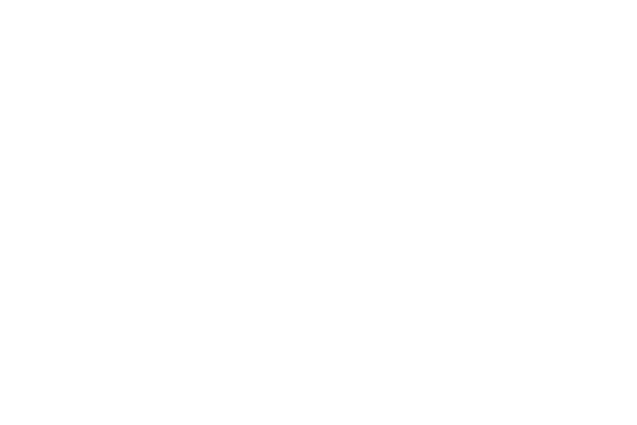 Looking for Partners White-01